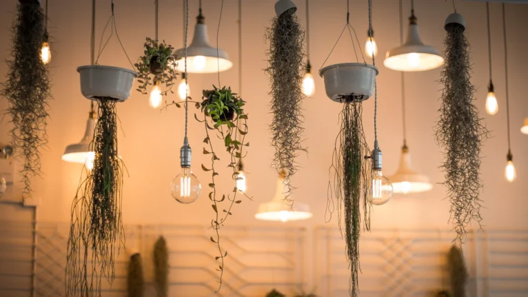 Illuminating Design: Transforming Interiors Through Strategic Lighting